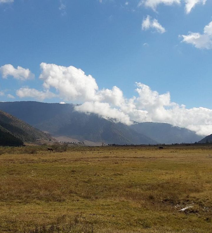 Crane Valley Wellness Retreat