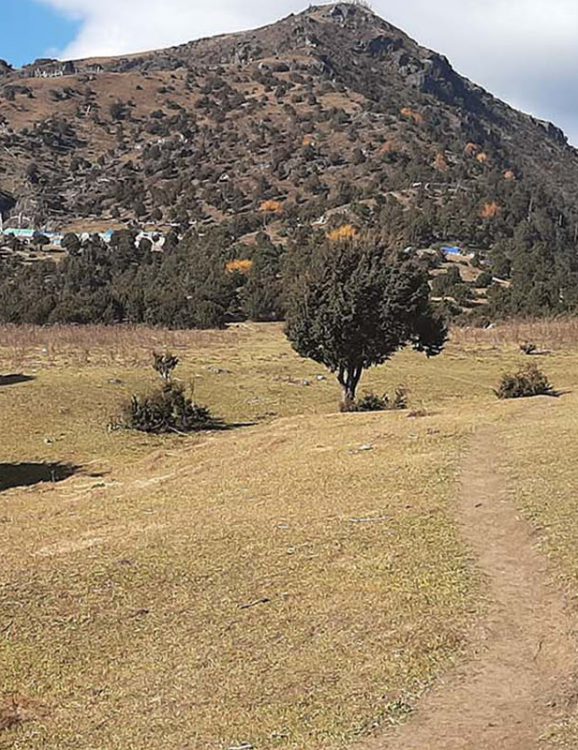 Trekking tours
