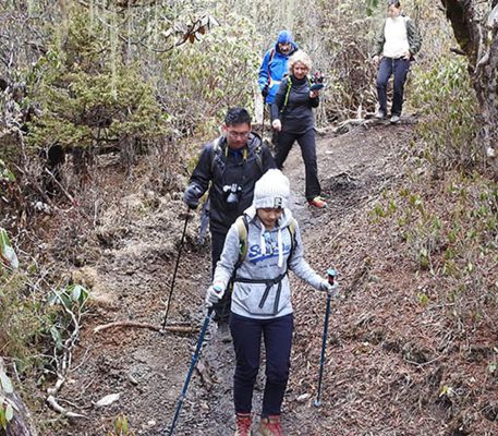Druk Path Trek With Culture Tour